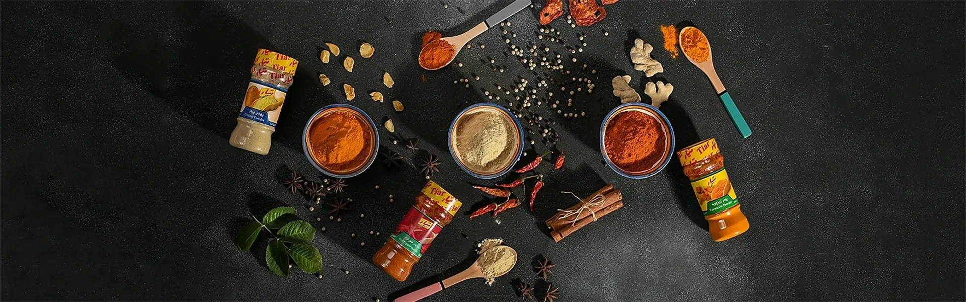 اسلایدر اصلی ترموویژن برق شاپ